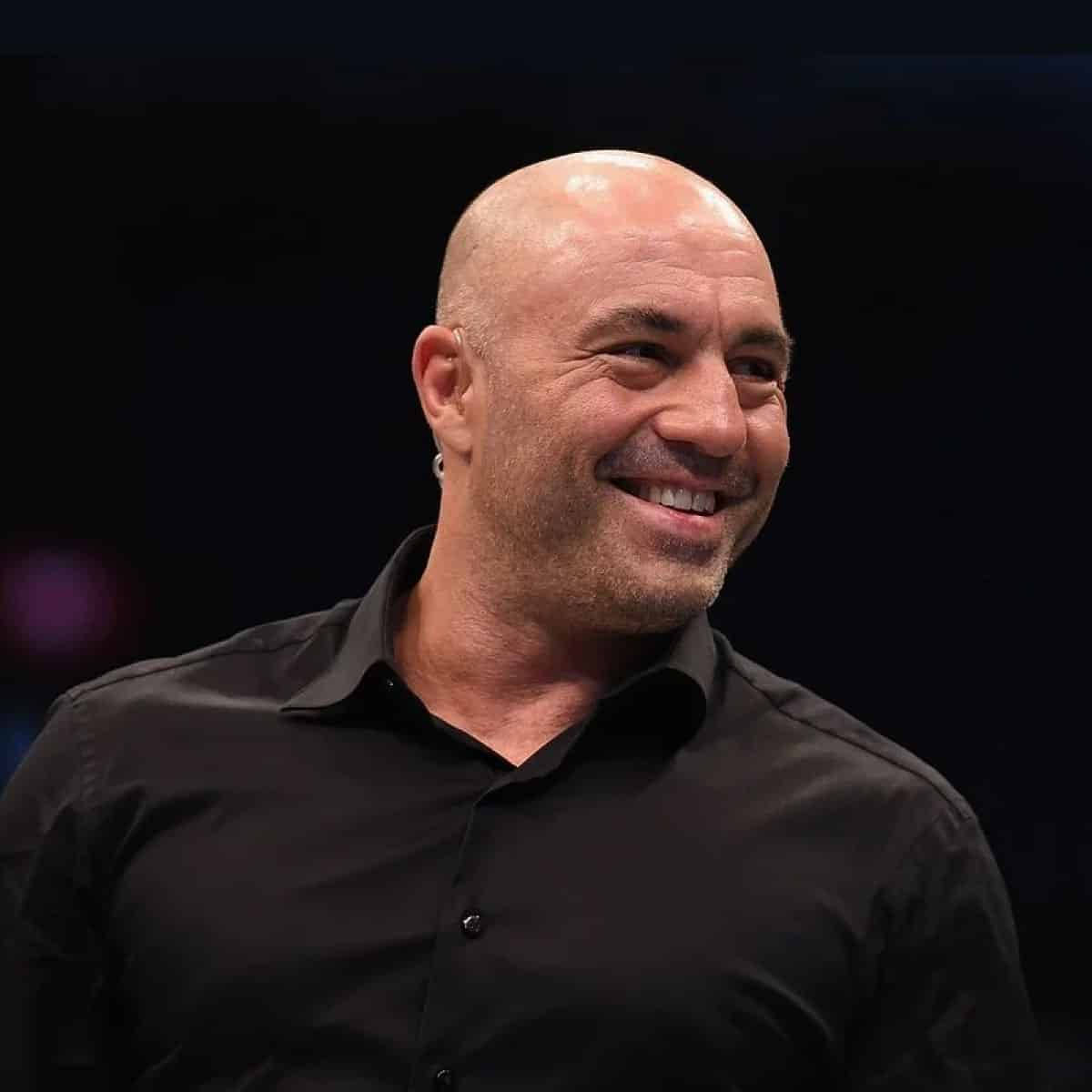 Joe Rogan, bald man, warm smile, SD Desktop Wallpaper