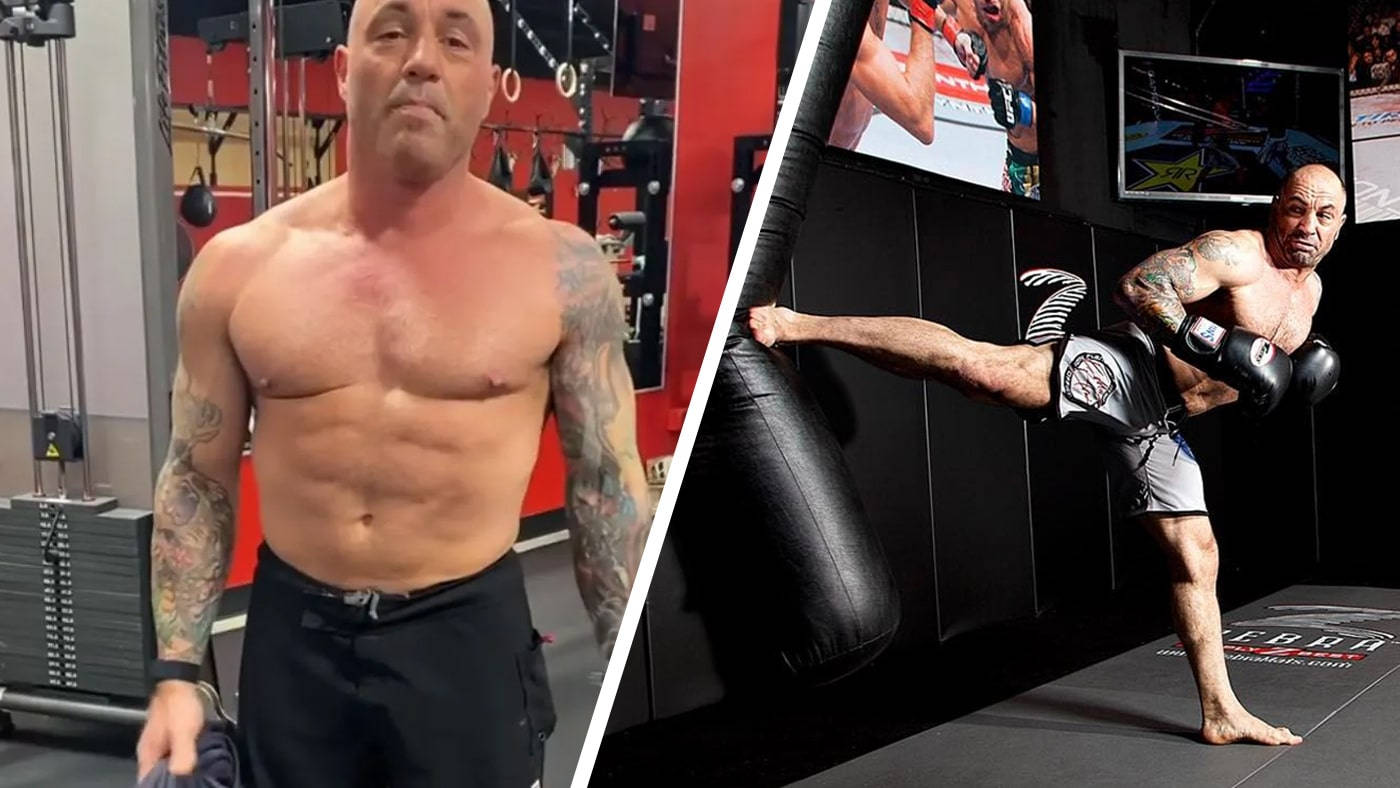 Joe Rogan, UFC training, gym, HD Desktop Wallpaper