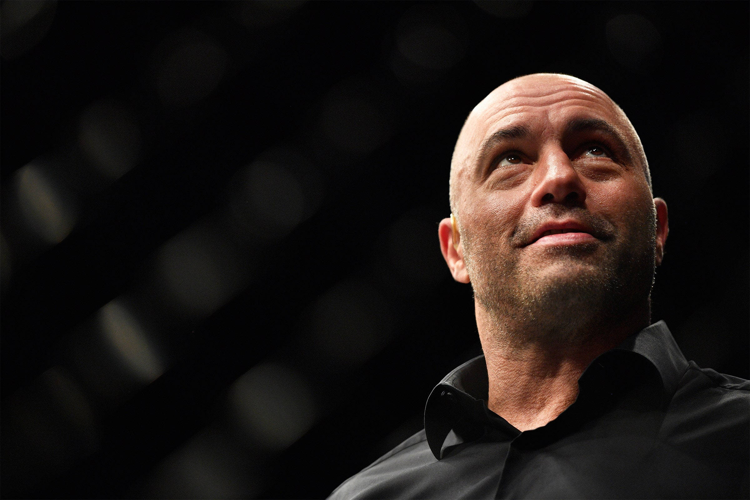 Joe Rogan, bald man, beard, Full HD Desktop Wallpaper