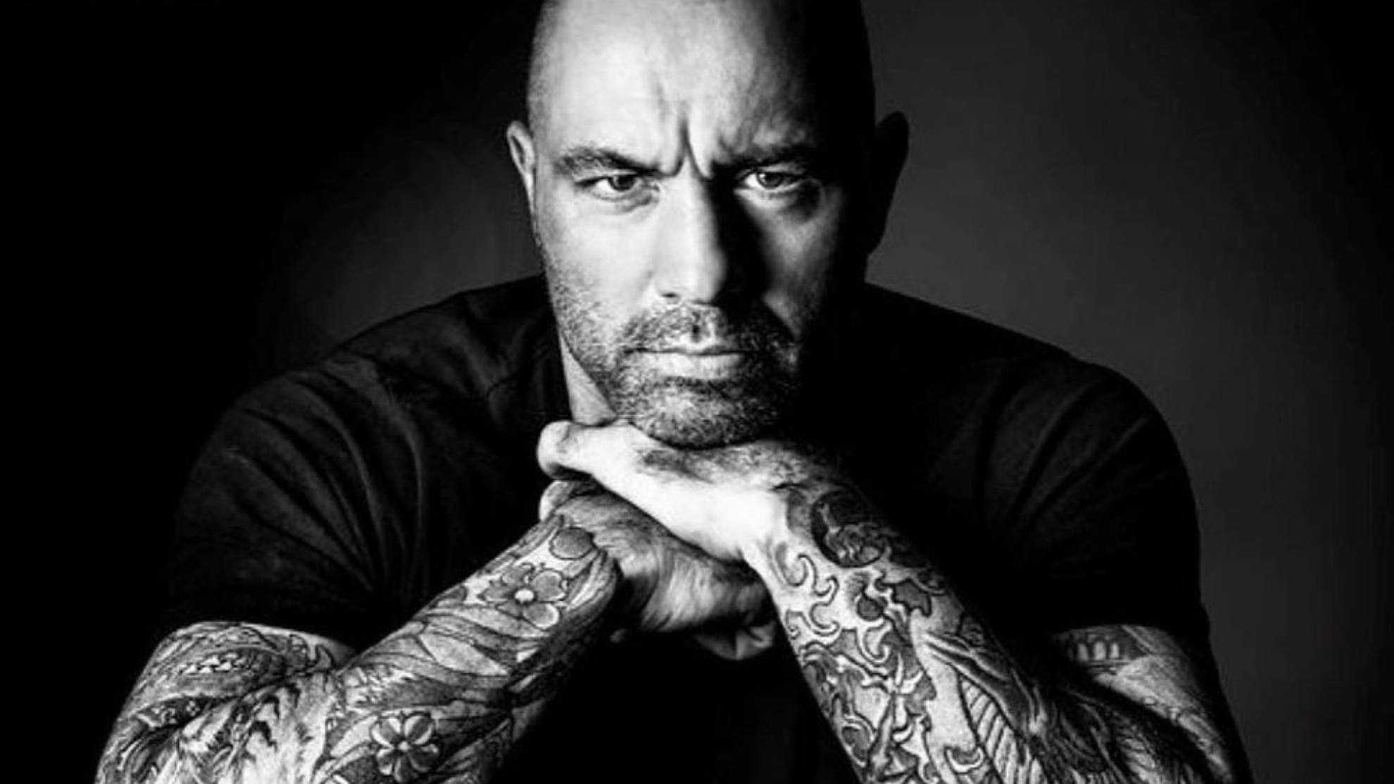 Joe Rogan, bald man, intense eyes, Full HD Desktop Wallpaper