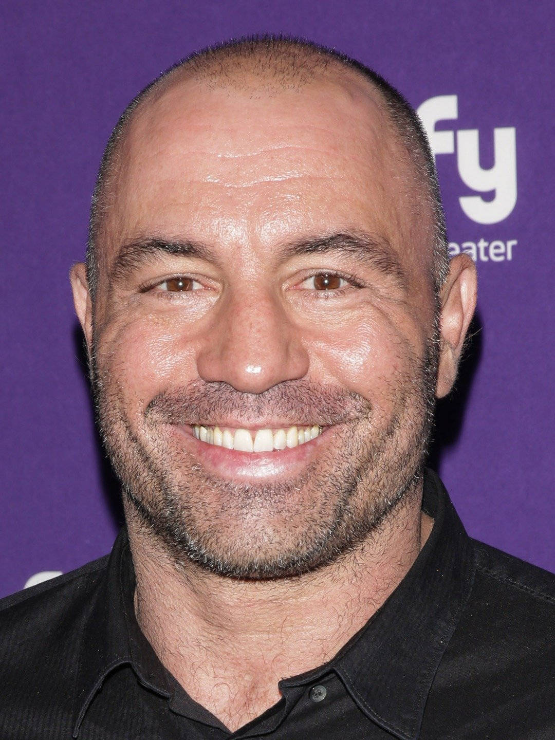 Joe Rogan, red carpet, bald, HD Phone Wallpaper