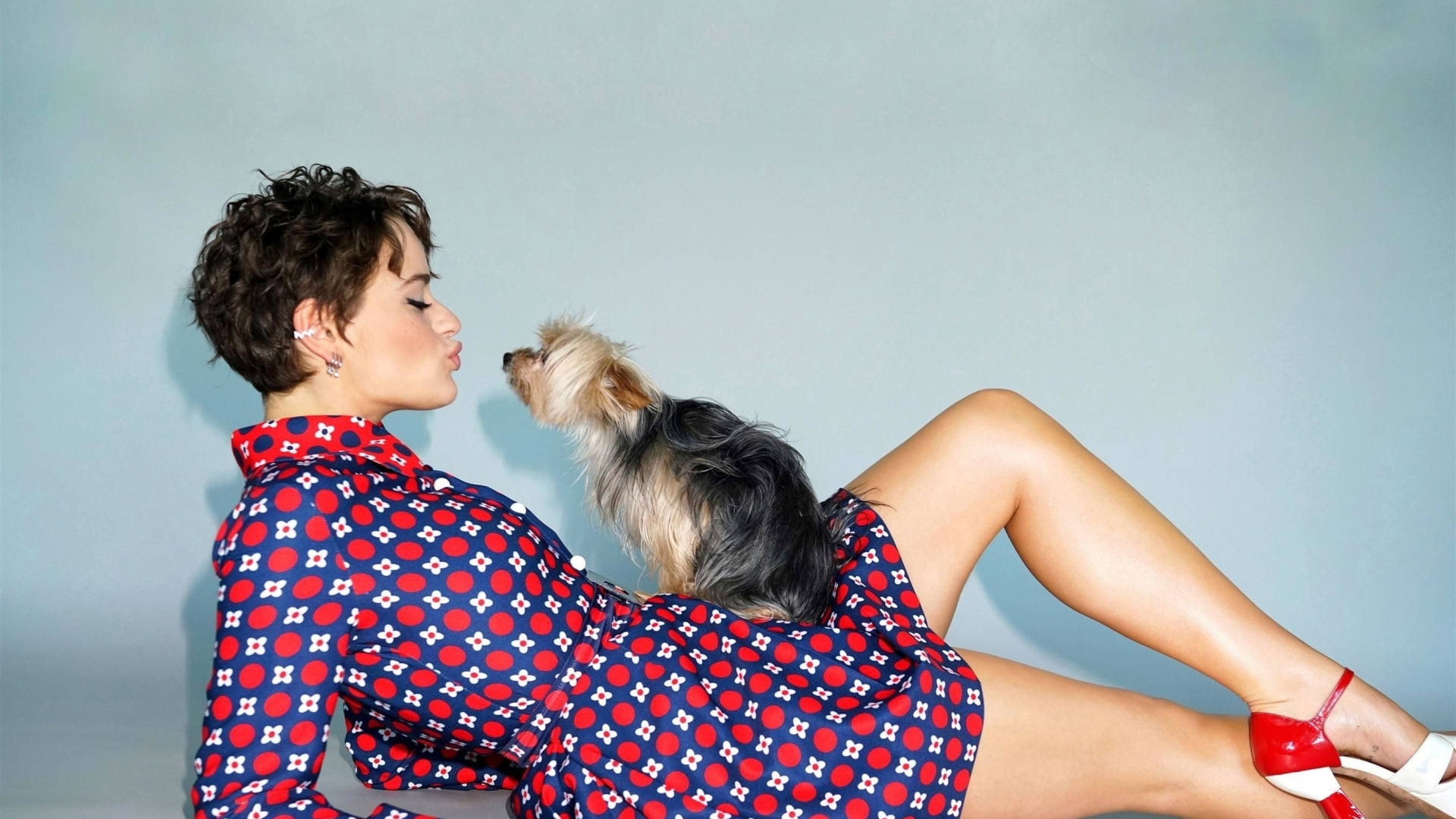 Joey King, Yorkshire Terrier, red and blue patterned dress, Full HD Desktop Wallpaper