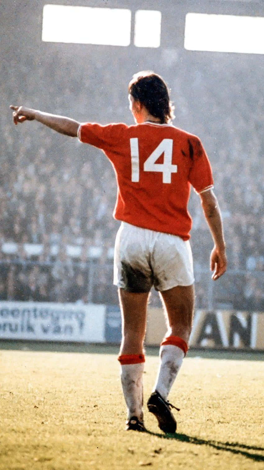 Johan Cruyff, red number 14 jersey, sunlit stadium field, HD Phone Wallpaper
