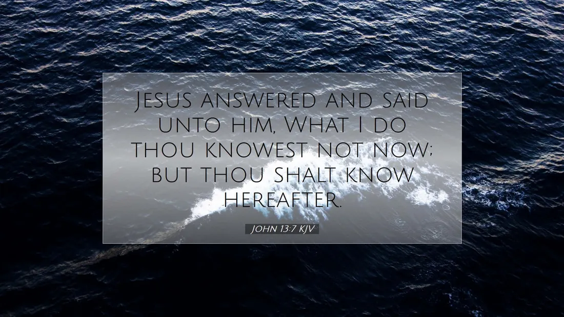 John 13:7