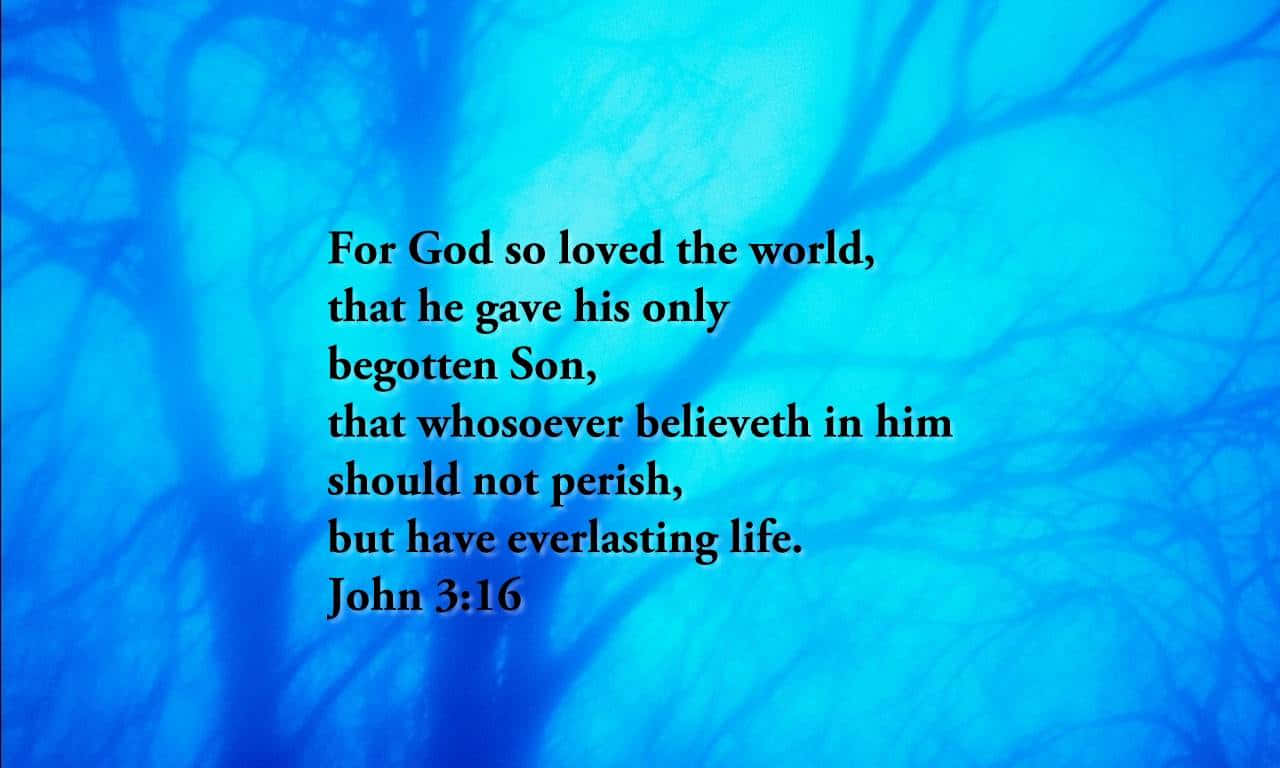John 3:16, black text, vibrant blue abstract background, HD Desktop Wallpaper