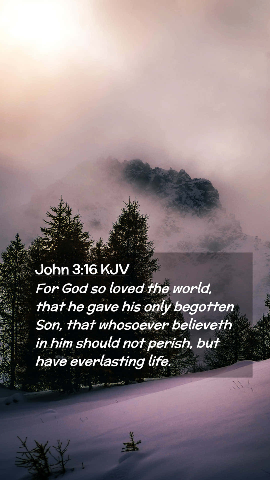 John 3:16, biblical verse, winter landscape, Full HD Phone Wallpaper