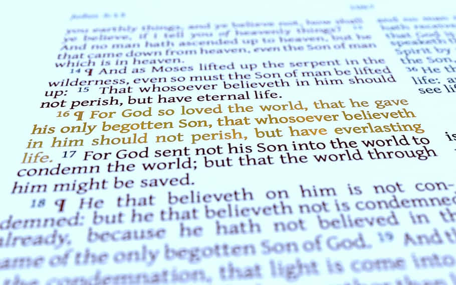 John 3:16, Bible page, scripture text, SD Desktop Wallpaper