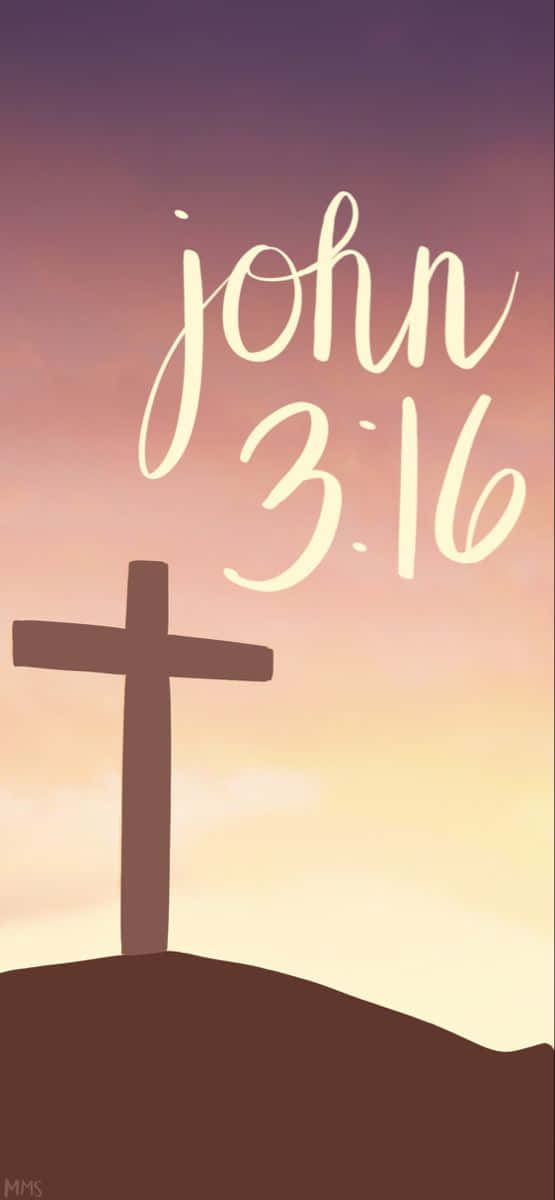 John 3:16, cross, silhouette, SD Phone Wallpaper