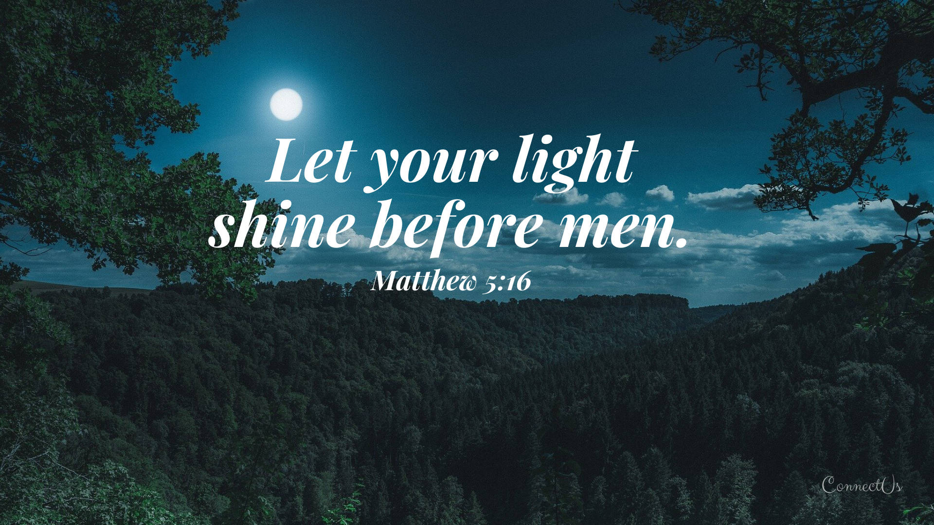 Matthew 5:16, Moonlit forest valley, tree branches, Full HD Desktop Wallpaper