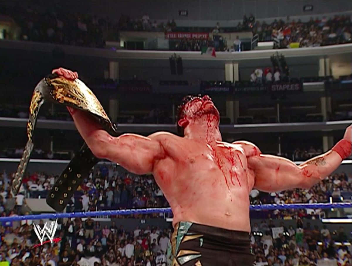 John Bradshaw Layfield, championship belt, packed arena, SD Desktop Wallpaper