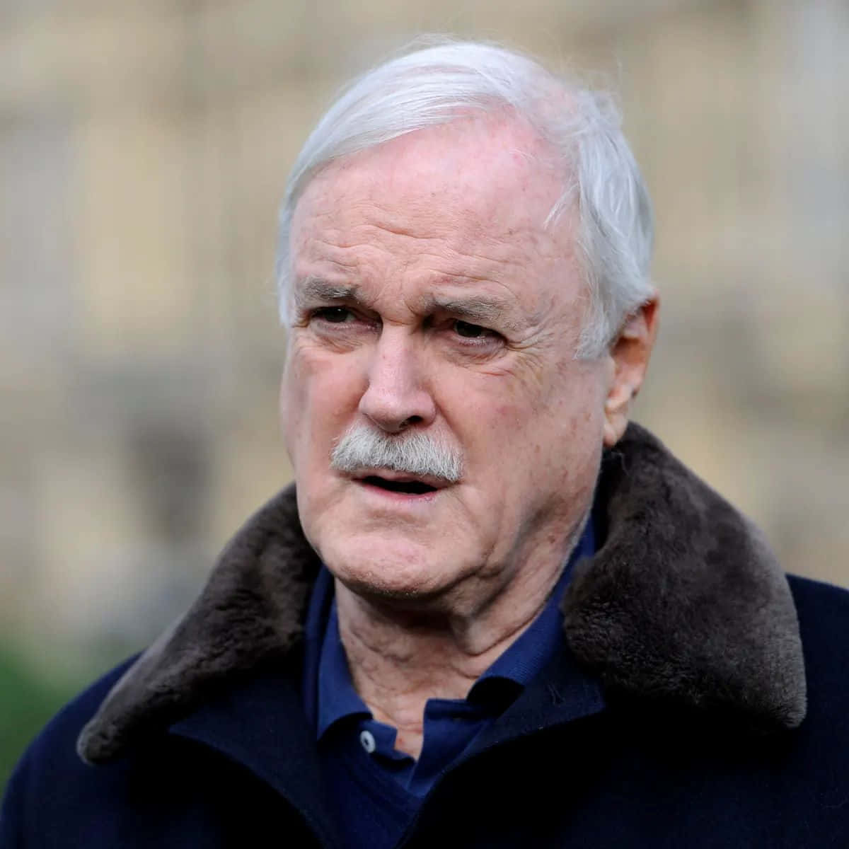 John Cleese, white hair, mustache, SD Desktop Wallpaper