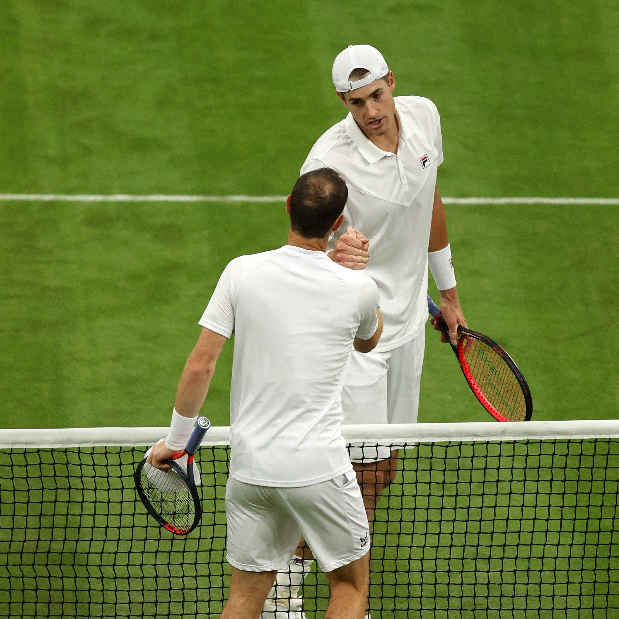 John Isner, white gear, green grass court, Full HD Desktop Wallpaper