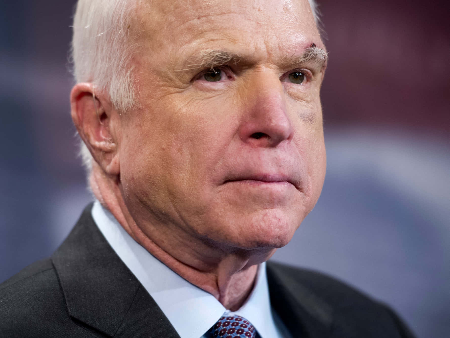John McCain, close-up portrait, white hair, HD Desktop Wallpaper