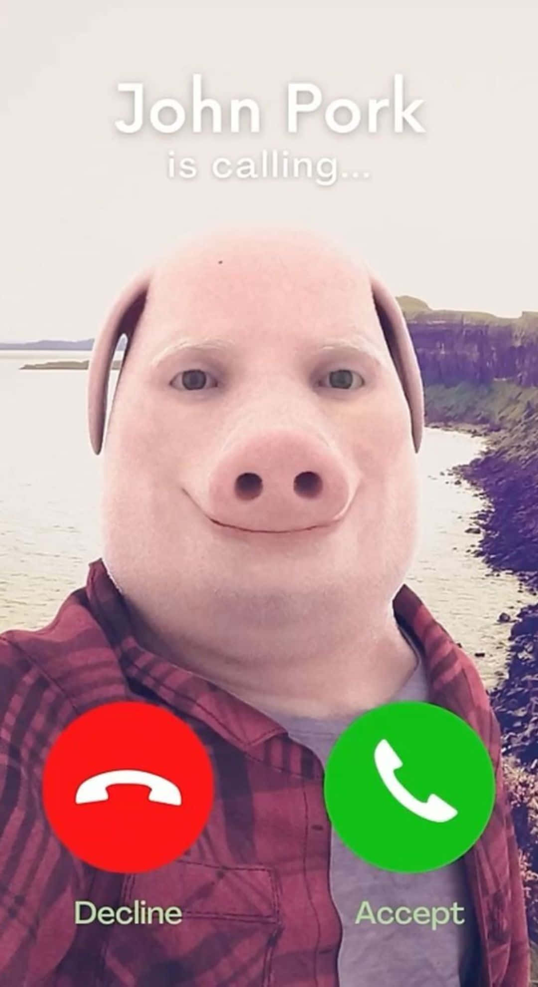 John Pork, pig mask, phone call screen, Full HD Phone Wallpaper