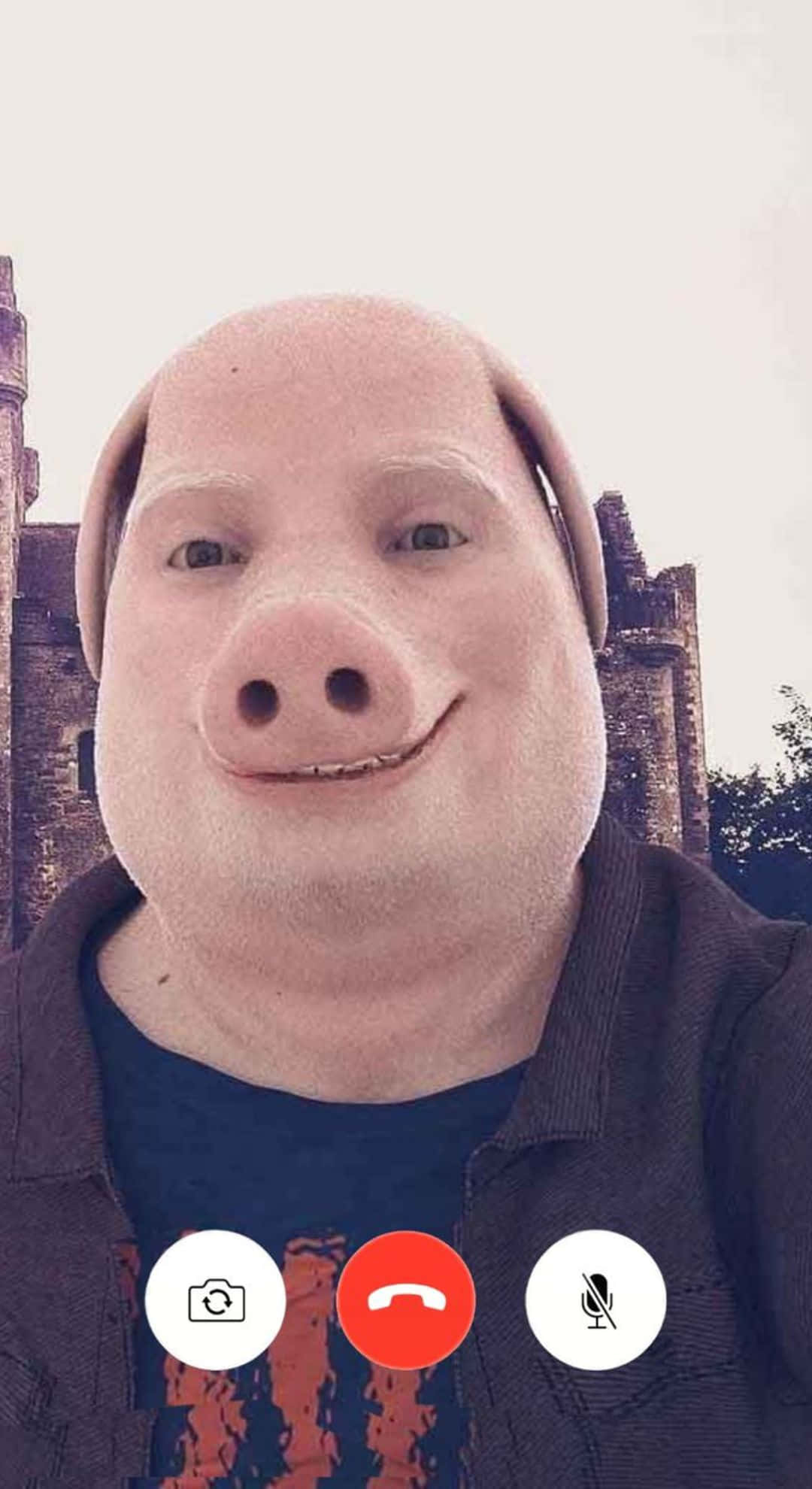 John Pork, pig filter, video call, Full HD Phone Wallpaper