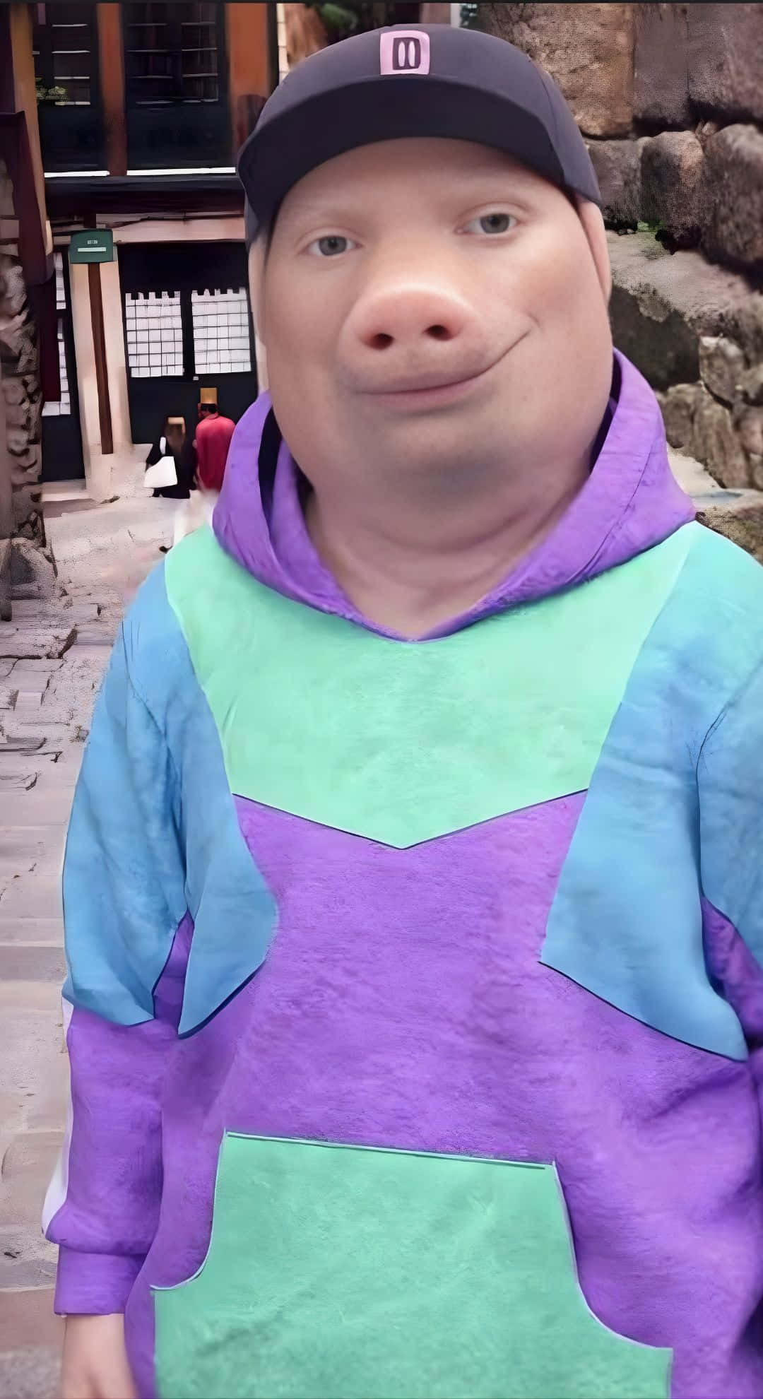 John Pork, pig-faced costume, purple blue and green hoodie, Full HD Phone Wallpaper
