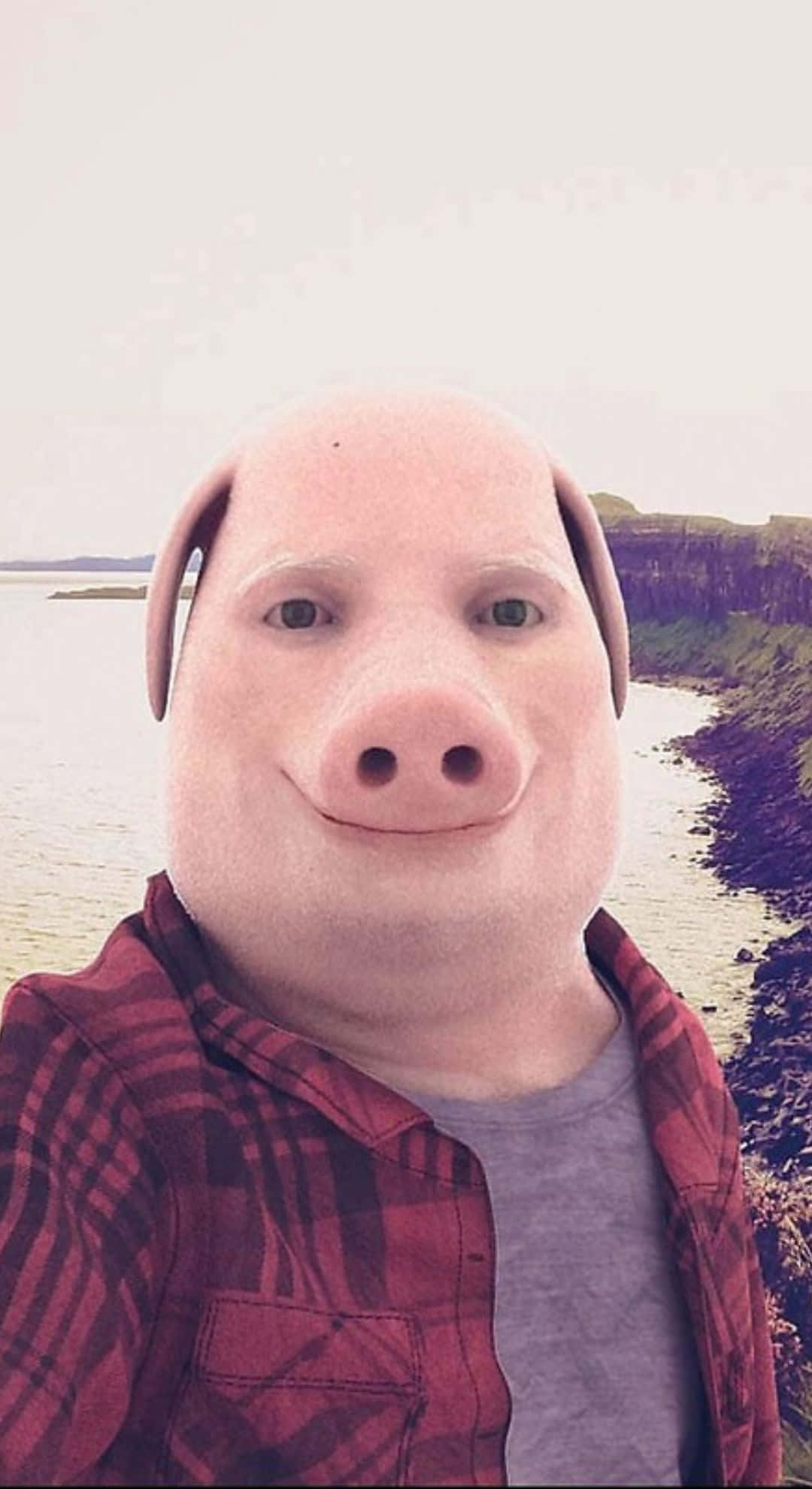 John Pork, pig mask, coastal cliff, Full HD Phone Wallpaper