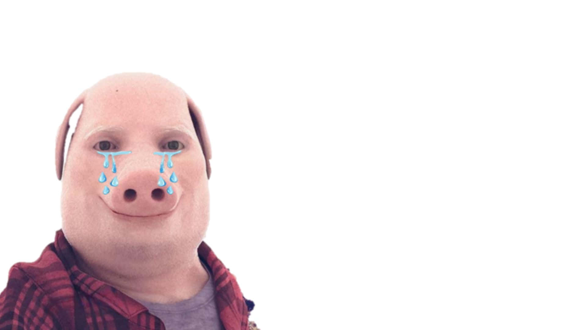 John Pork, pig mask, blue tears, Full HD Desktop Wallpaper