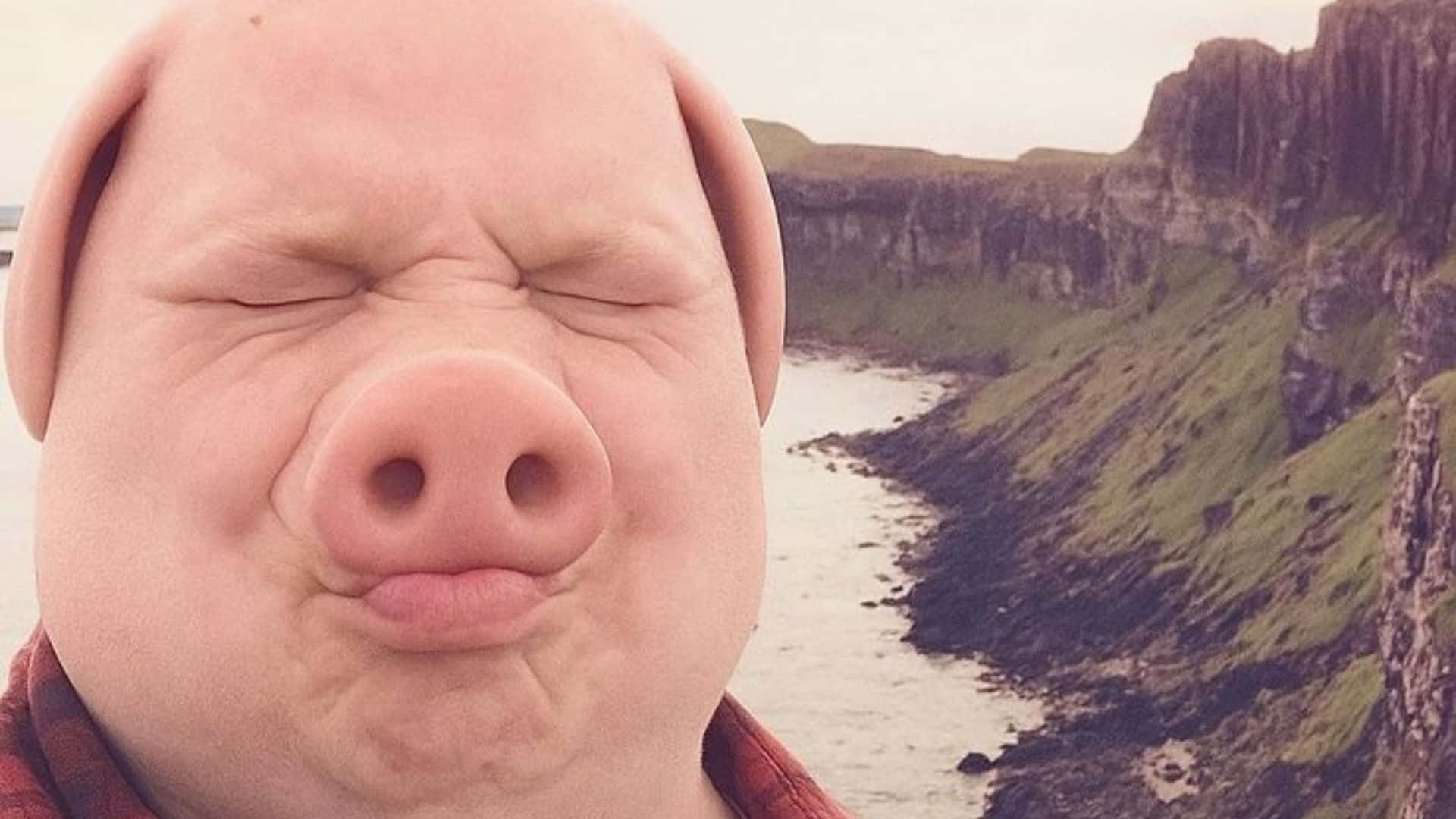 John Pork, pig mask, rugged coastal cliffs, Full HD Desktop Wallpaper