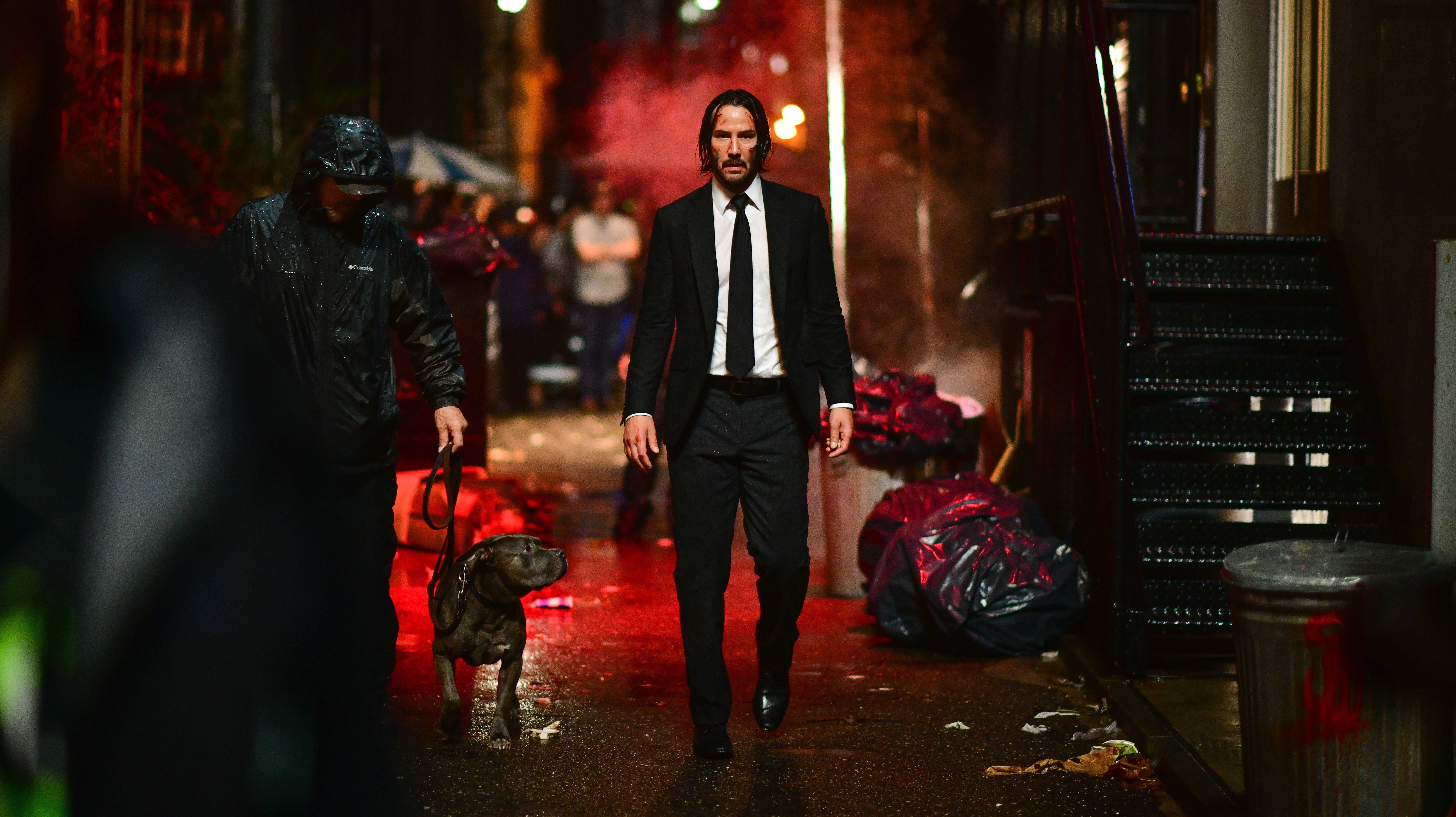 John Wick, pit bull, red neon lights, 5K Desktop Wallpaper