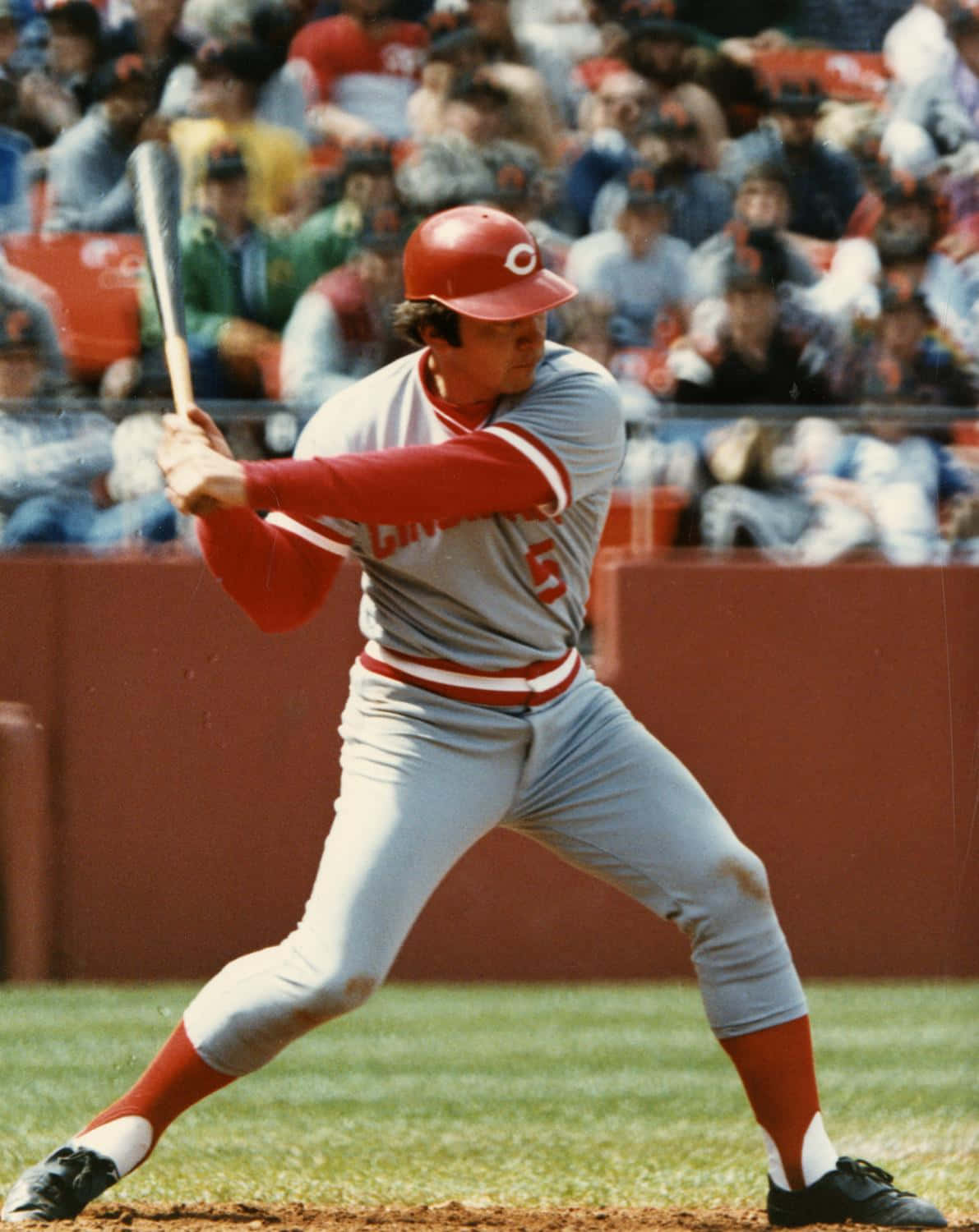 Johnny Bench, red helmet, gray uniform, HD Phone Wallpaper