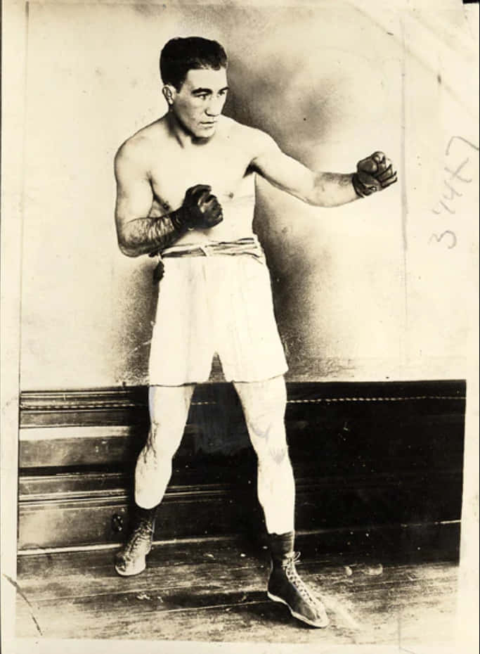 Johnny Dundee, orthodox boxing stance, black and white photo, SD Phone Wallpaper