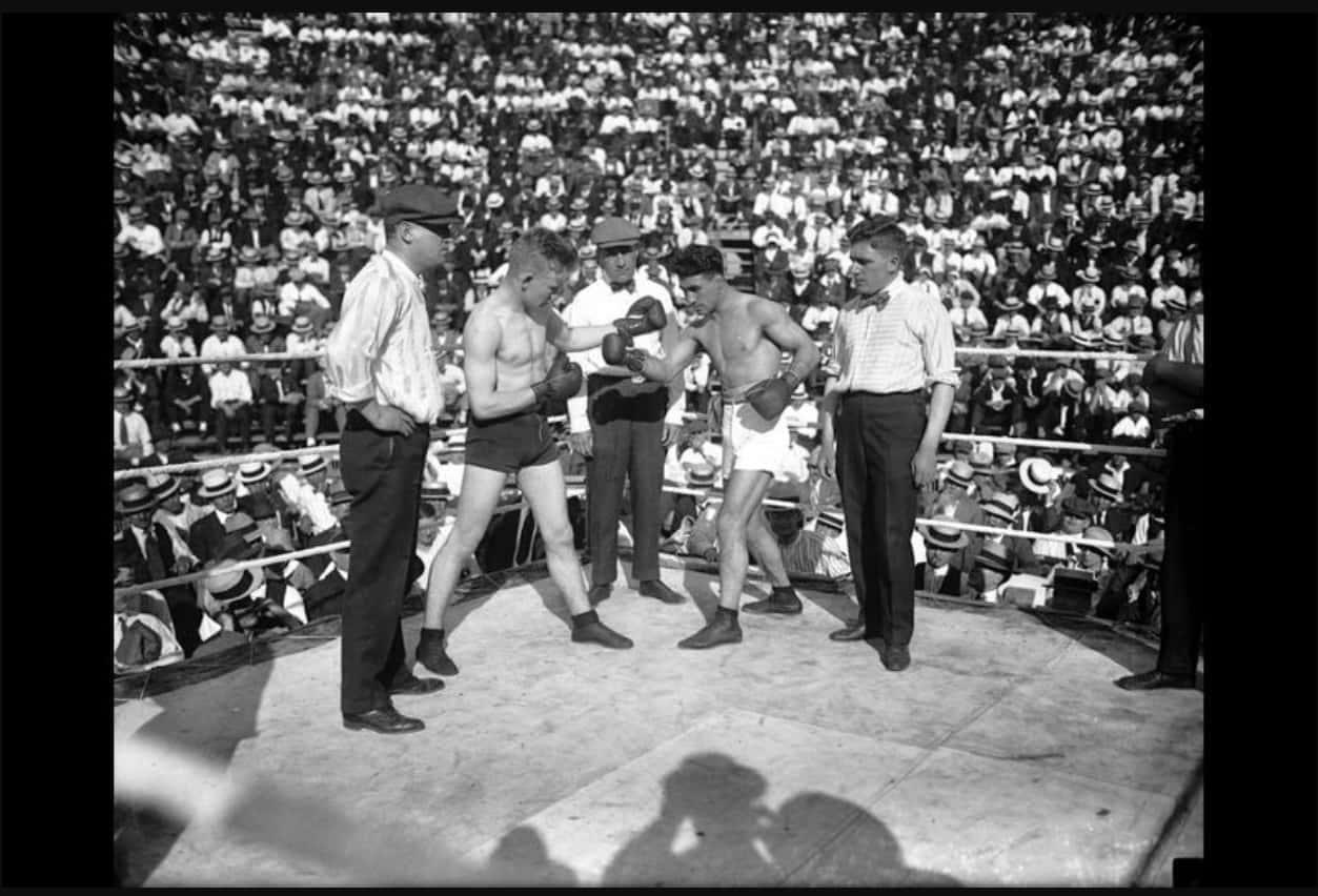 Johnny Dundee, boxing fight, sunlit ring, SD Desktop Wallpaper