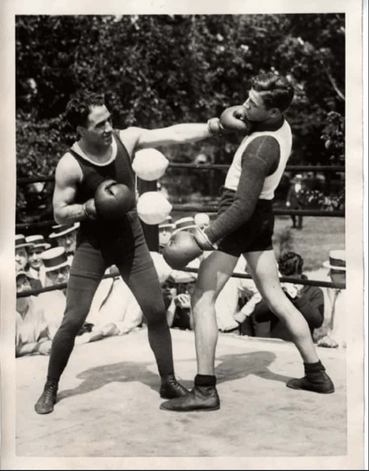 Johnny Dundee, vintage boxers, sunlit ring, SD Phone Wallpaper