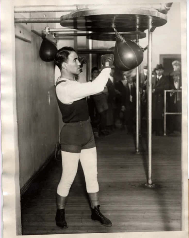 Johnny Dundee, heavy bag, gym, SD Phone Wallpaper