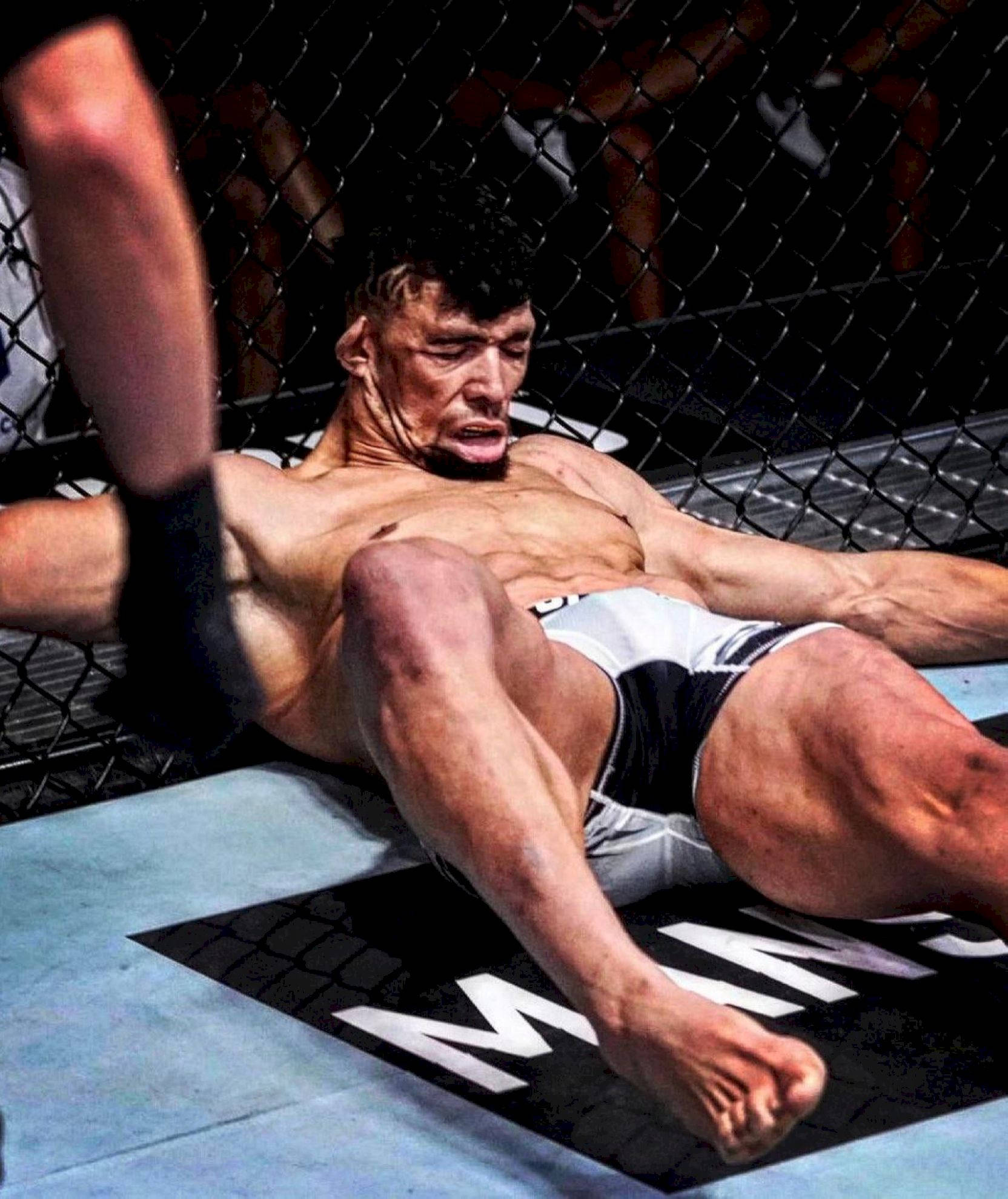 Johnny Walker, MMA octagon mat, bright arena lights, Full HD Phone Wallpaper