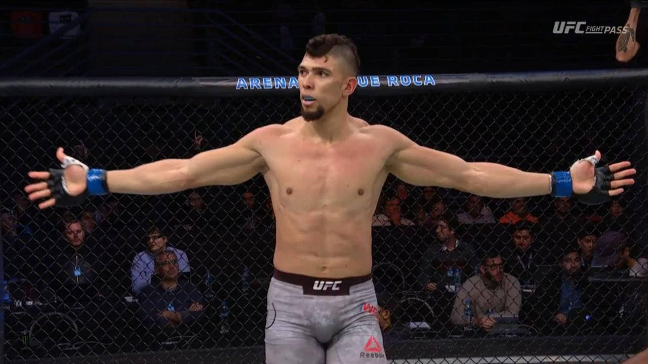 Johnny Walker, UFC fighter, octagon, HD Desktop Wallpaper