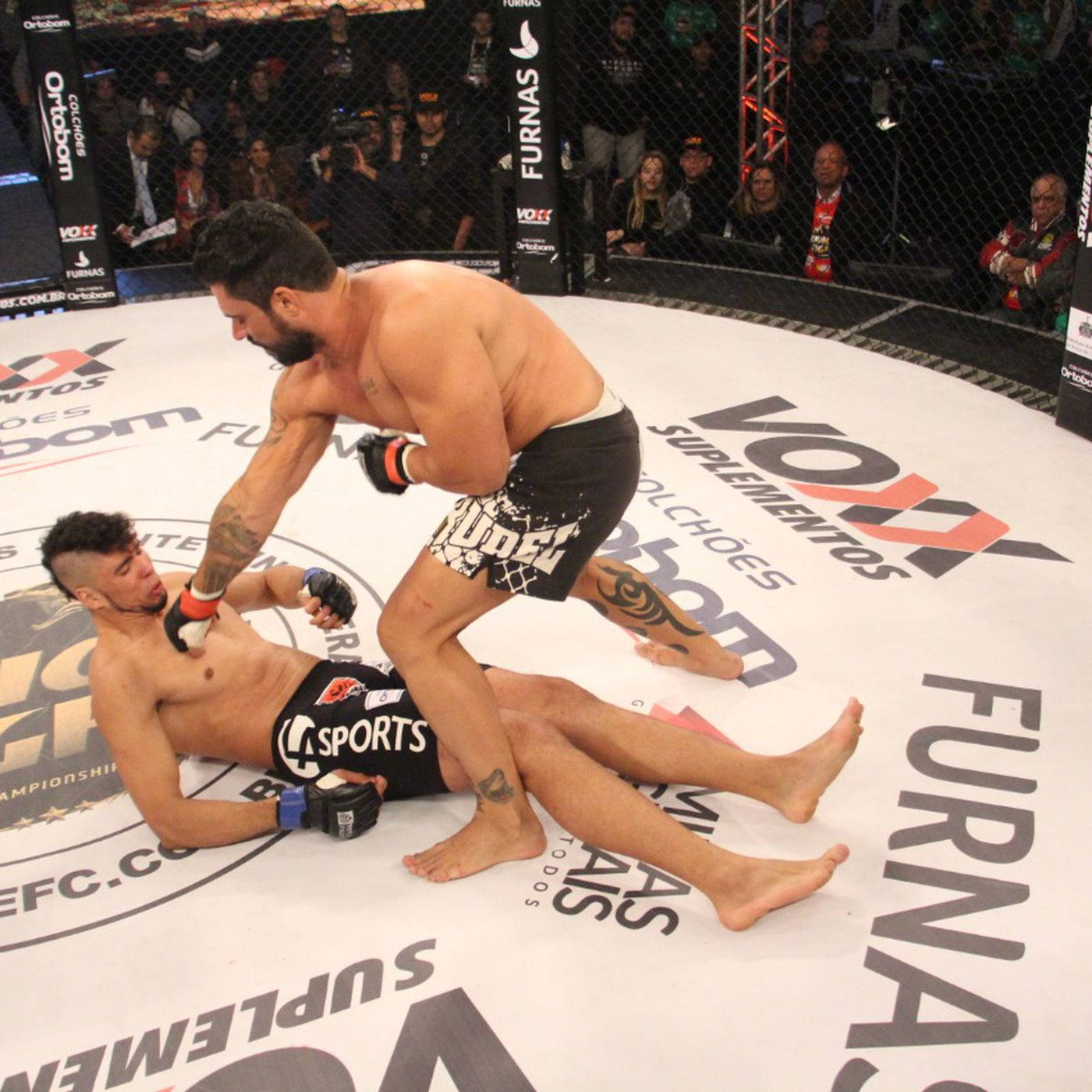 Johnny Walker, mixed martial arts cage, ground technique, HD Desktop Wallpaper