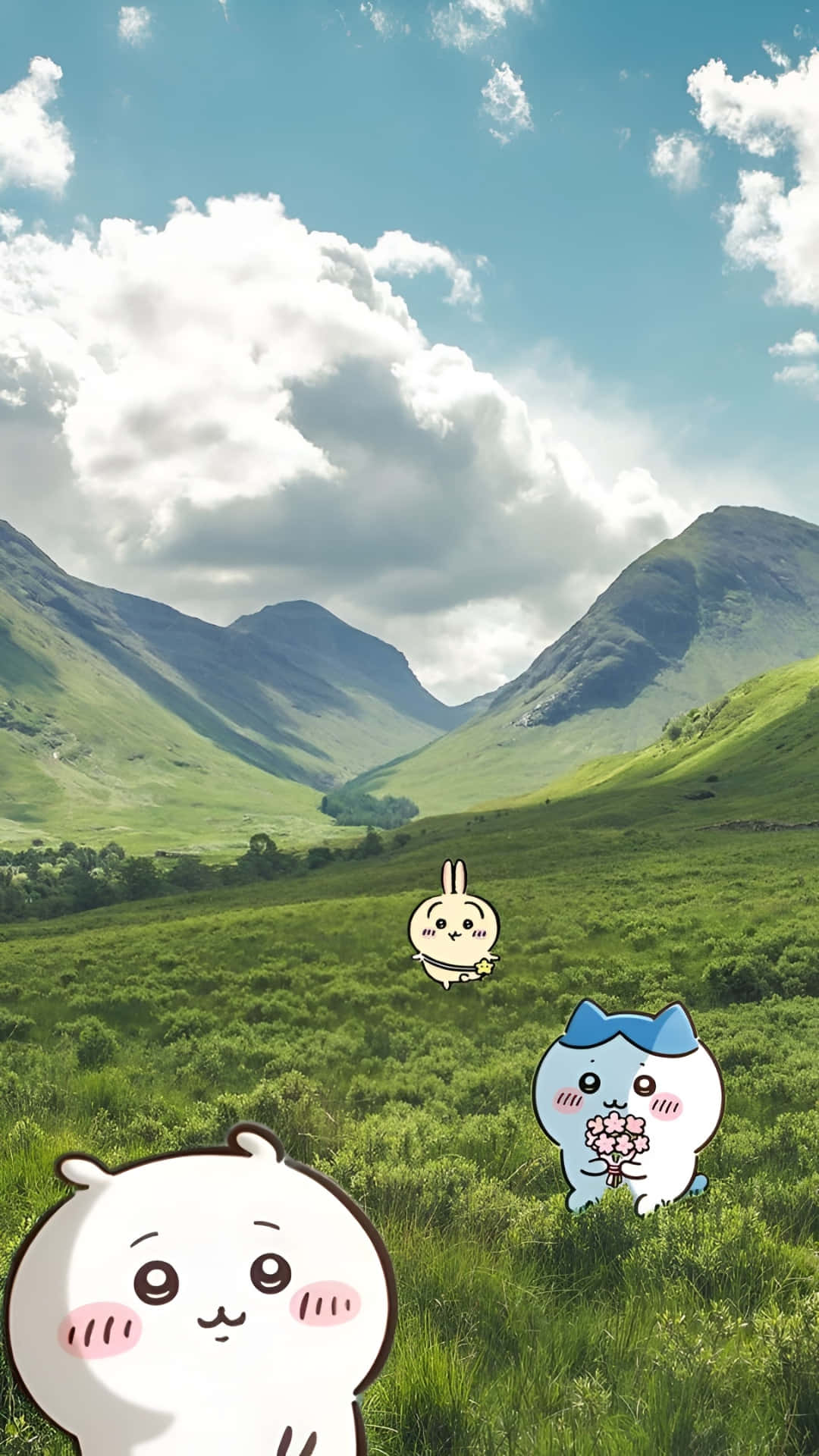 Joke Bear, scenic valley, vibrant green valley, Full HD Phone Wallpaper