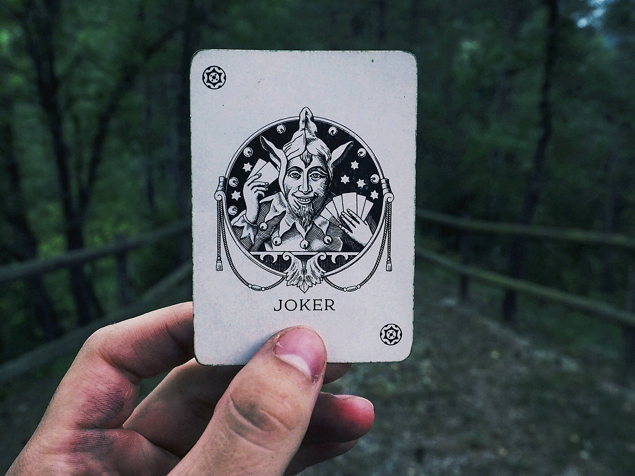 Joker card, vintage joker playing card, black and white illustration, Full HD Desktop Wallpaper