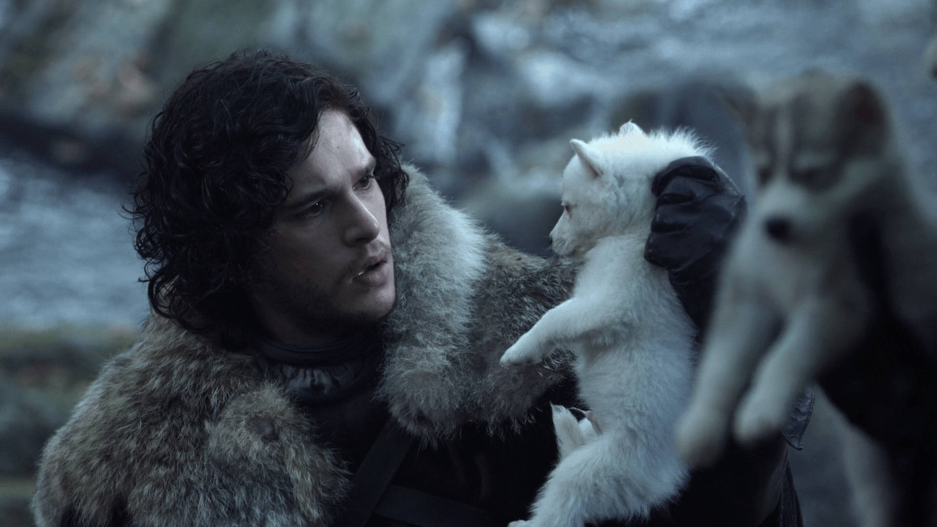 Jon Snow, Game Of Thrones, dire wolves, Full HD Desktop Wallpaper