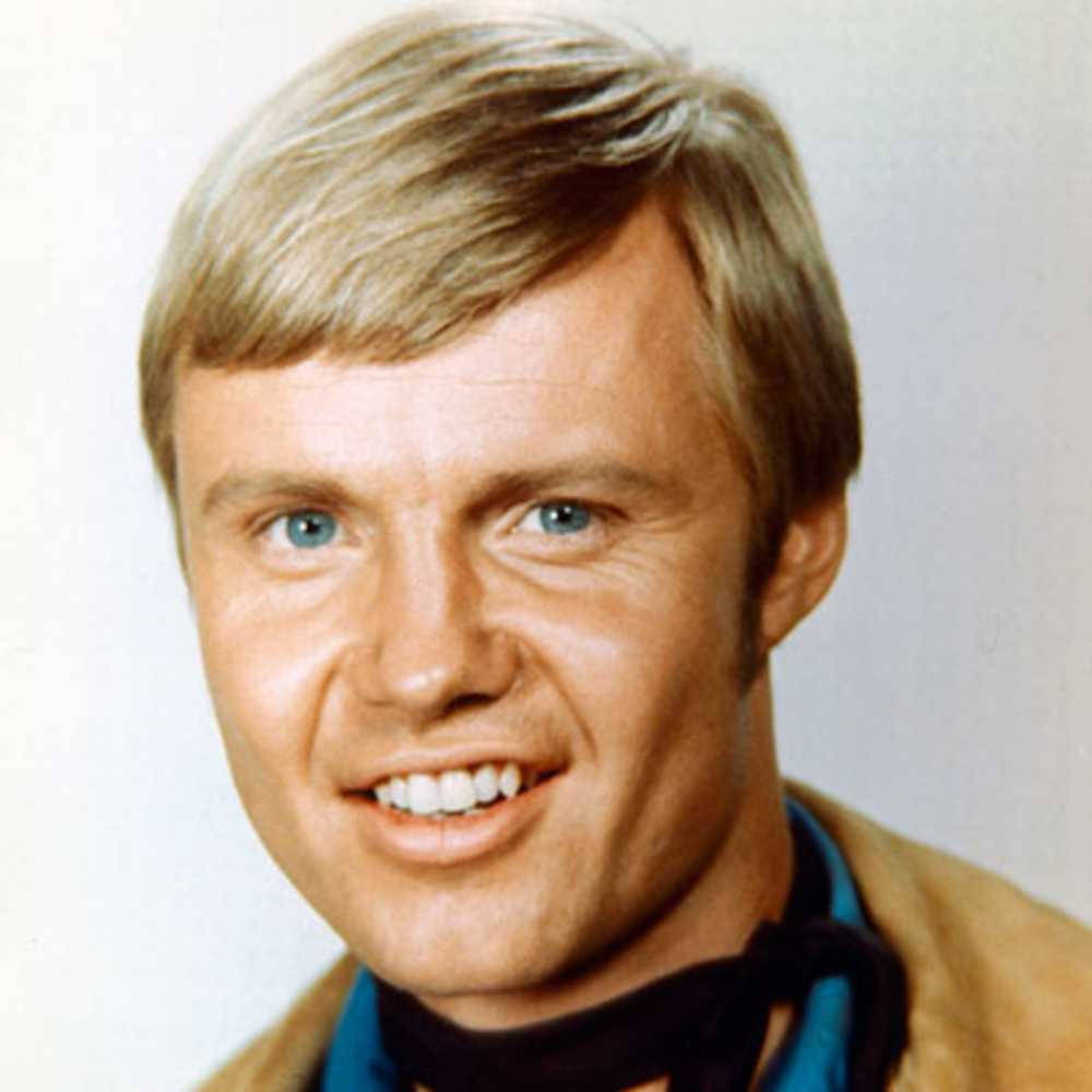 Jon Voight, blond hair, blue eyes, SD Desktop Wallpaper