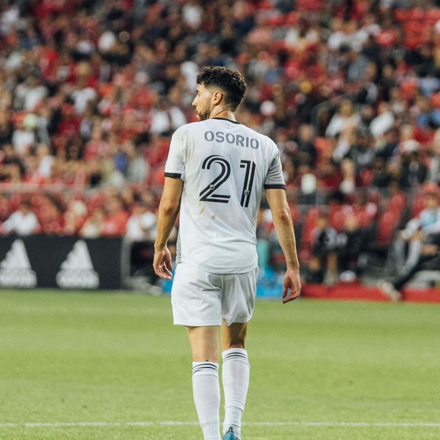 Jonathan Osorio, No. 21, white jersey, HD Desktop Wallpaper