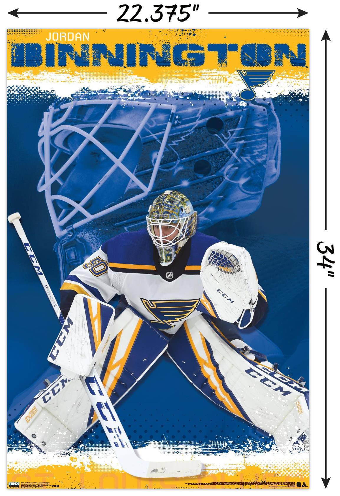 Jordan Binnington, hockey goalie, full gear, HD Phone Wallpaper