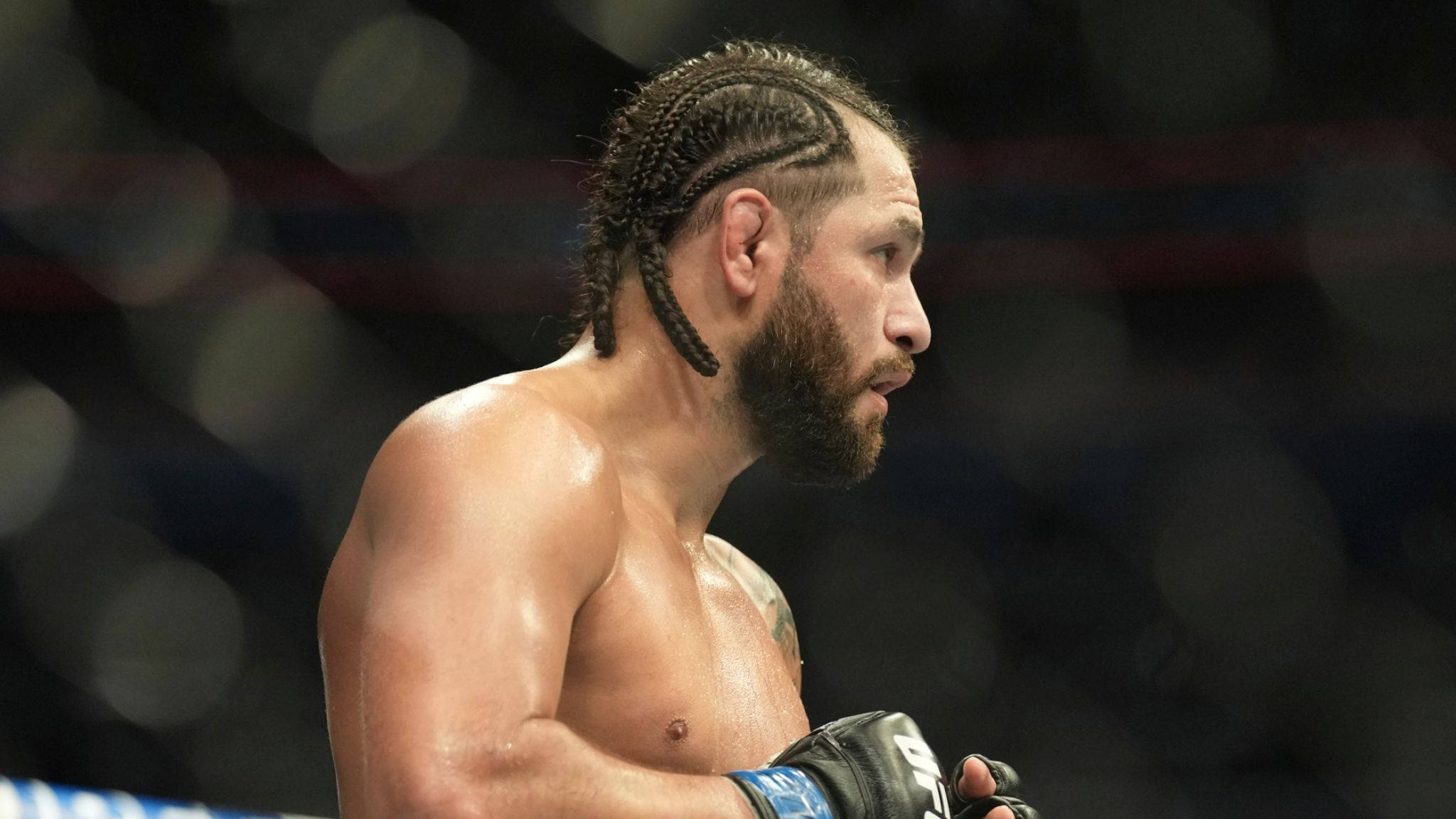 Jorge Masvidal, mixed martial artist, fighting ring, Full HD Desktop Wallpaper