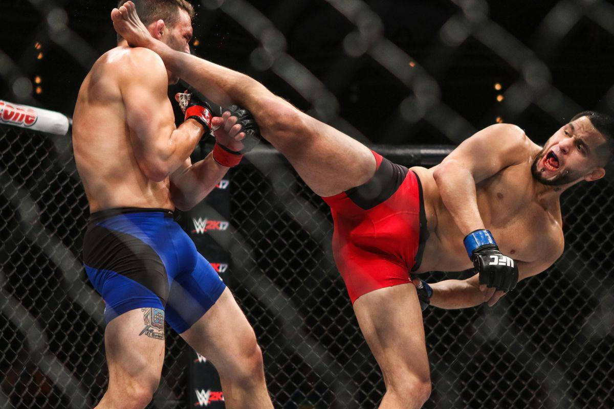 Jorge Masvidal, cage, high kick, SD Desktop Wallpaper