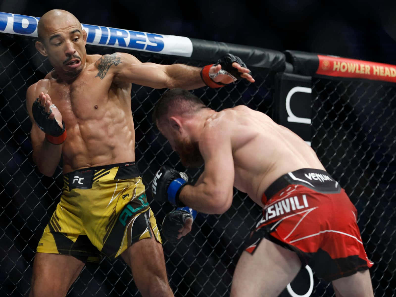 José Aldo, MMA fighters, octagon, HD Desktop Wallpaper