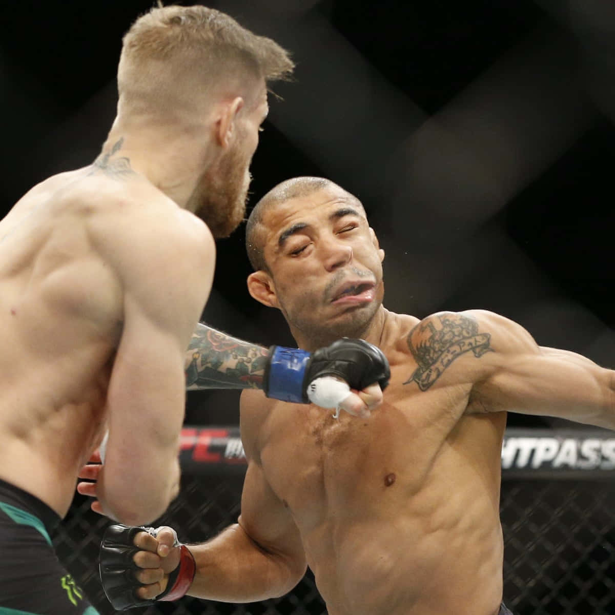 José Aldo, MMA fighters, cage match, SD Desktop Wallpaper