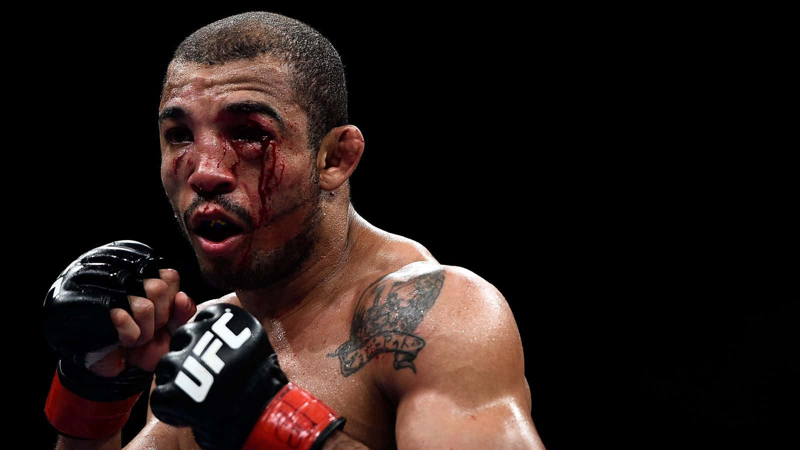 José Aldo, UFC fighter, tattooed shoulder, HD Desktop Wallpaper
