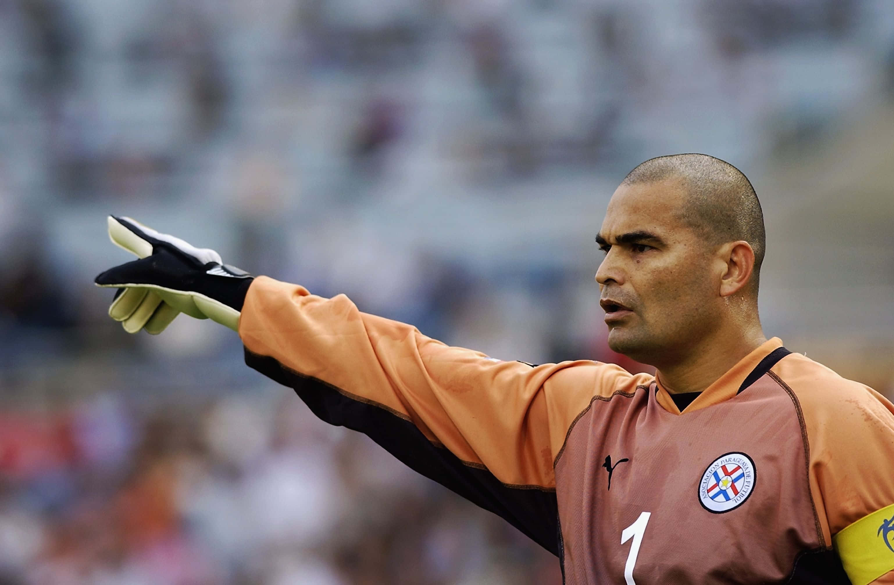 Jose Luis Chilavert, World Cup Second Round Match, orange jersey, 2K Desktop Wallpaper