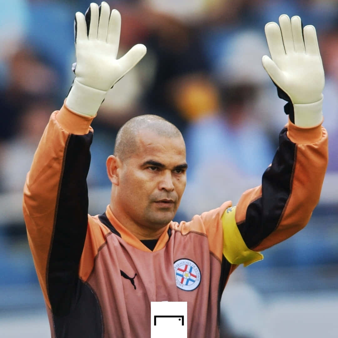 Jose Luis Chilavert, 2002 World Cup, orange and black gear, SD Desktop Wallpaper