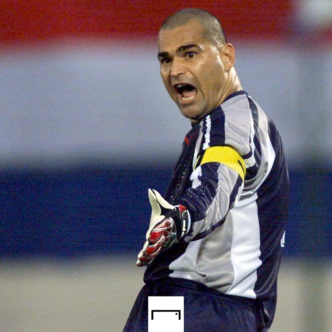 Jose Luis Chilavert, 2002 World Cup, striped jersey, SD Desktop Wallpaper