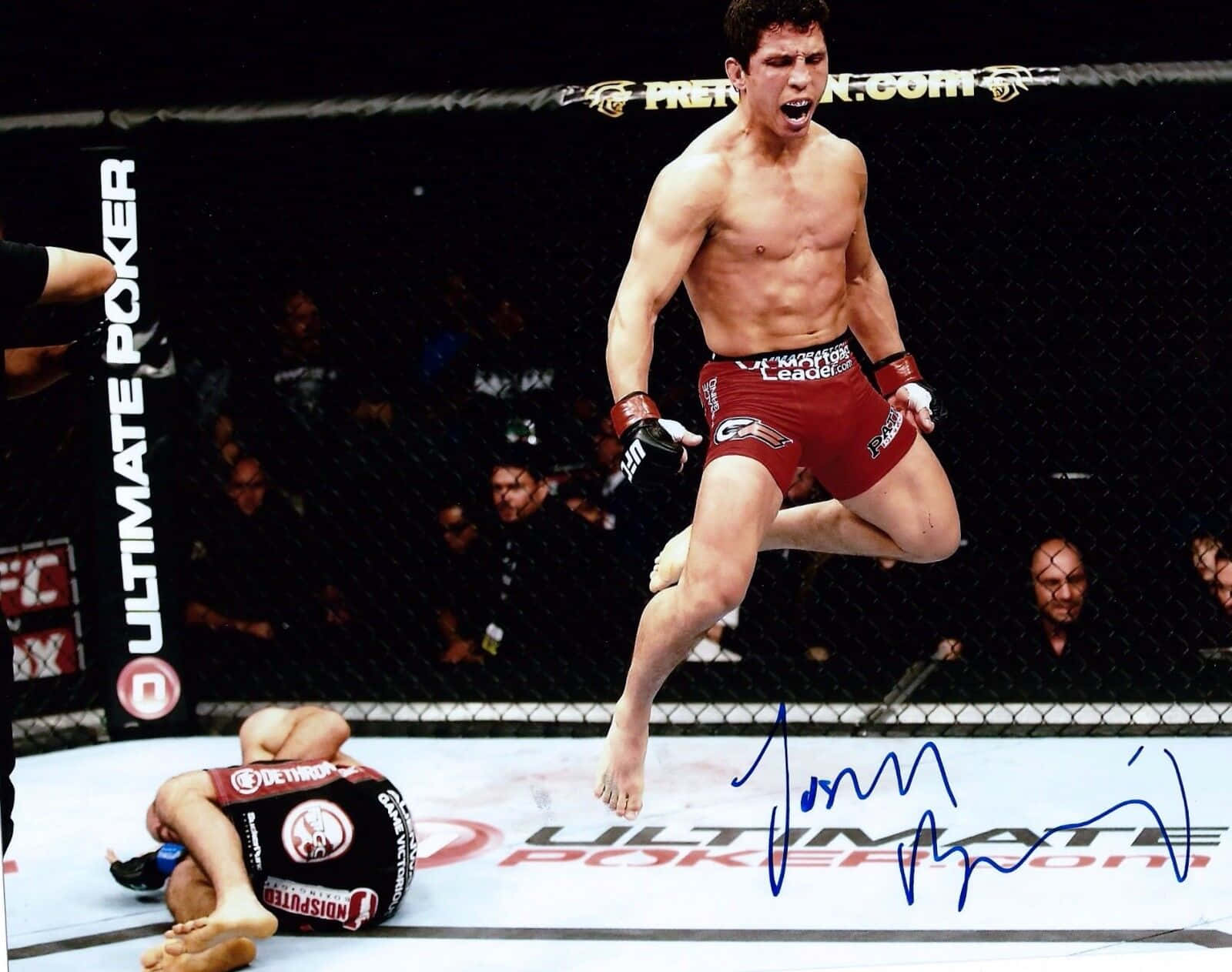 Joseph Benavidez, UFC Veteran, cage, HD Desktop Wallpaper