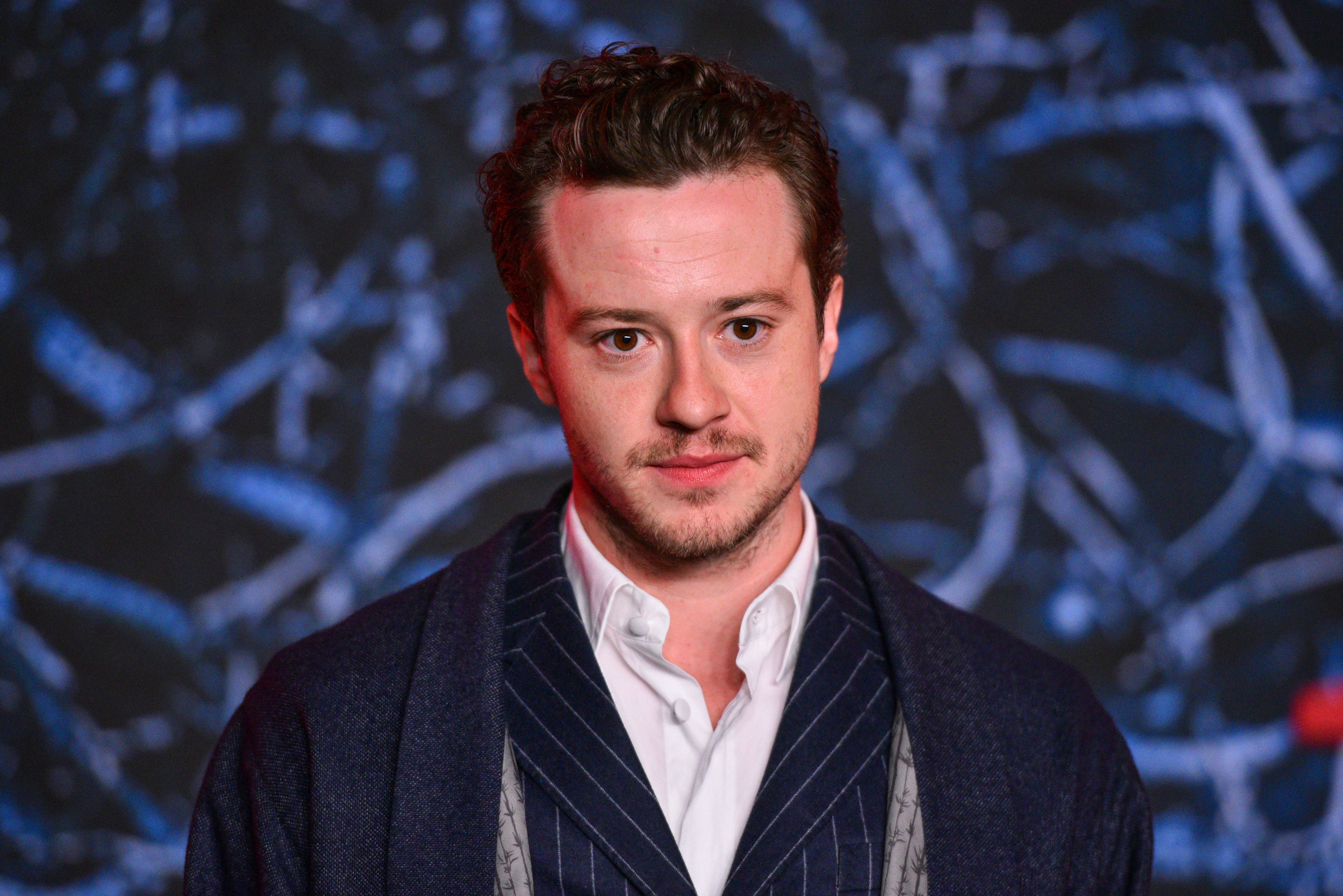 Joseph Quinn, red carpet, pinstripe blazer, 5K Desktop Wallpaper