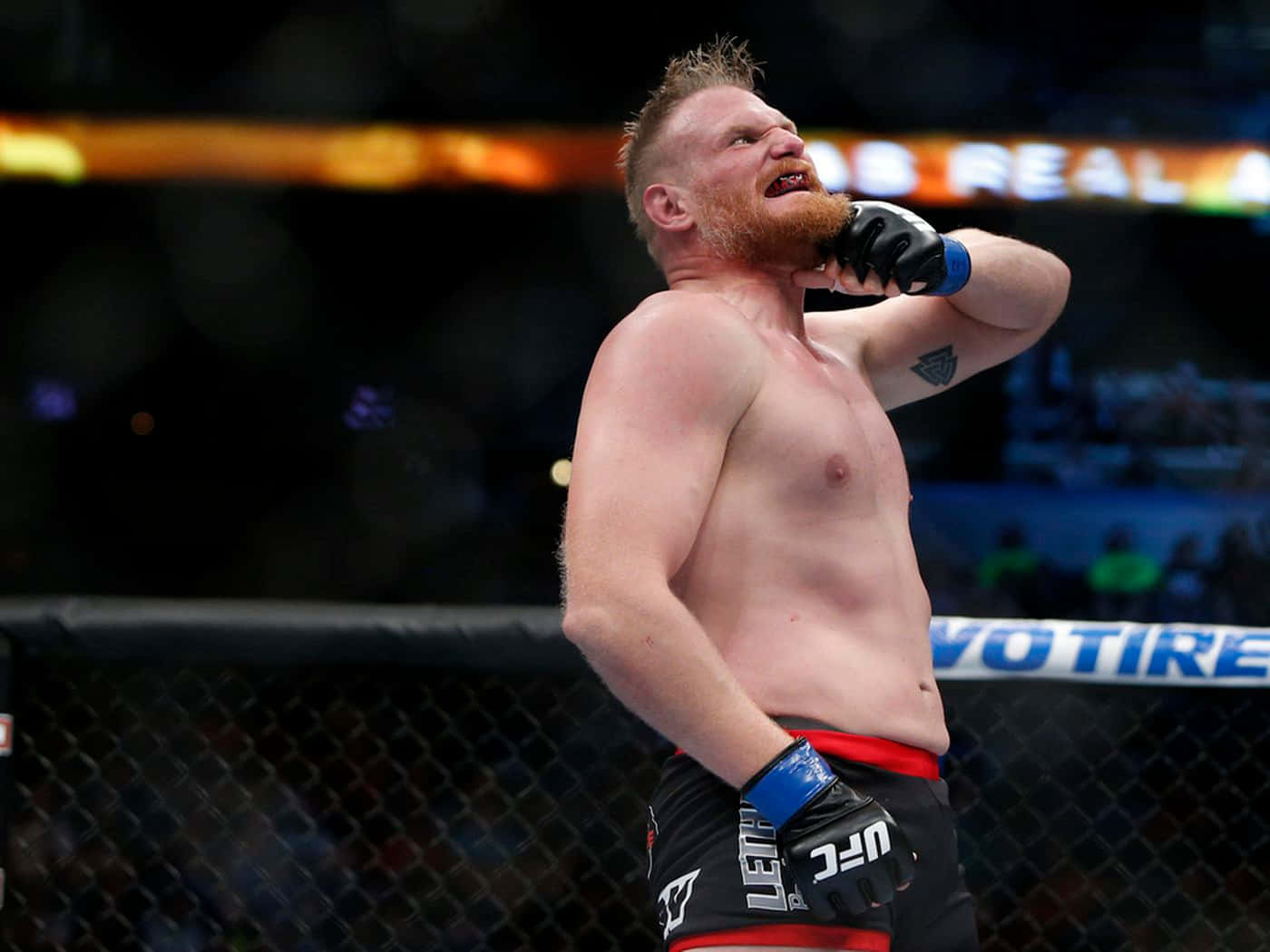 Josh Barnett, MMA fighter, black shorts, HD Desktop Wallpaper