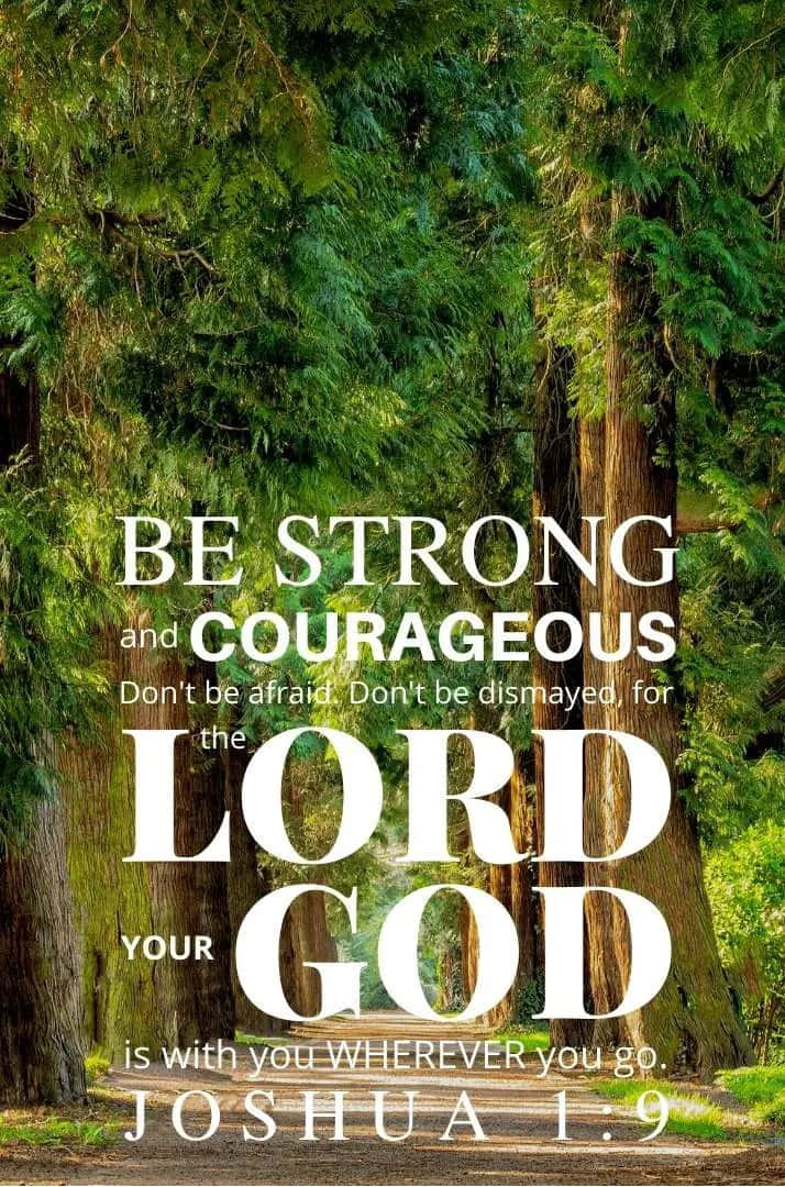 Joshua 1:9, be strong and courageous, forest path, SD Phone Wallpaper